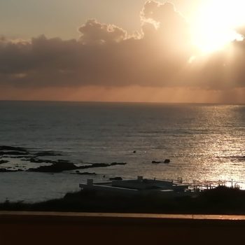 IMG_20200621_054924 (1)